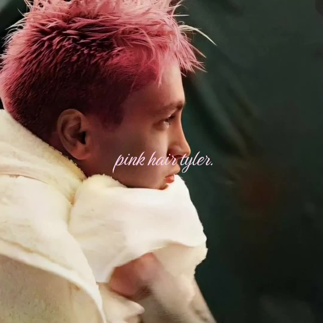@𝑱𝒆𝒍𝒍𝒚-𝒄𝒂𝒕