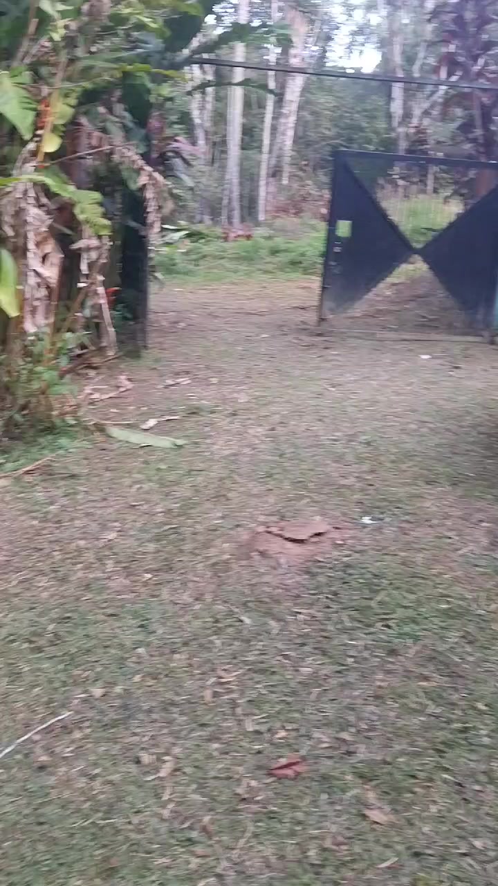 @Andr&eacute; Costa