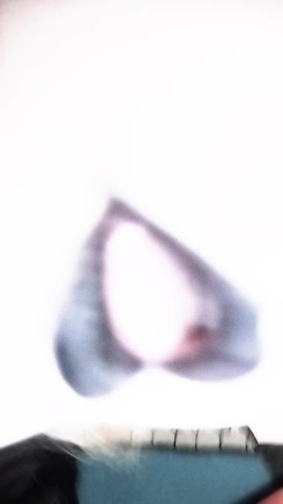 @꧁𝒍𝒊𝒕𝒕𝒍𝒆 𝒃𝒂𝒕꧂