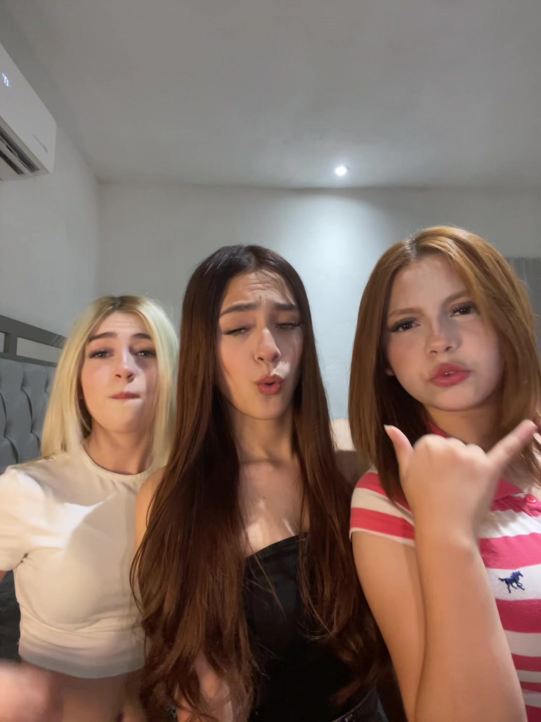 @mamoi