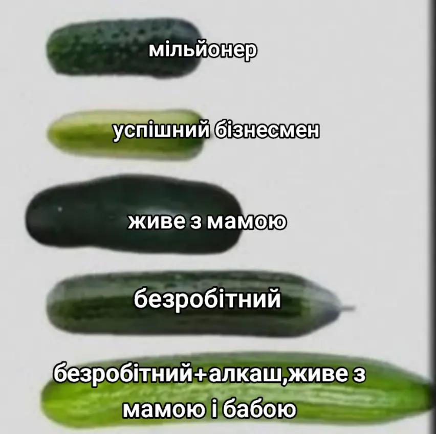 @Artem
