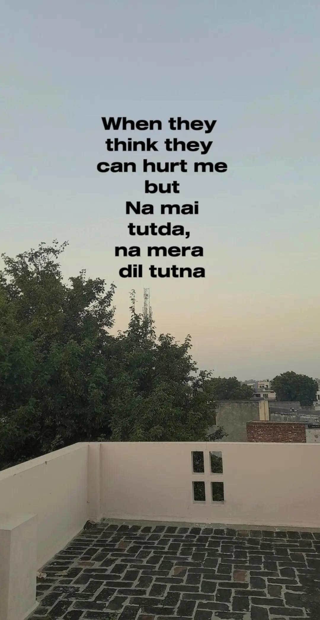 @✭🌷