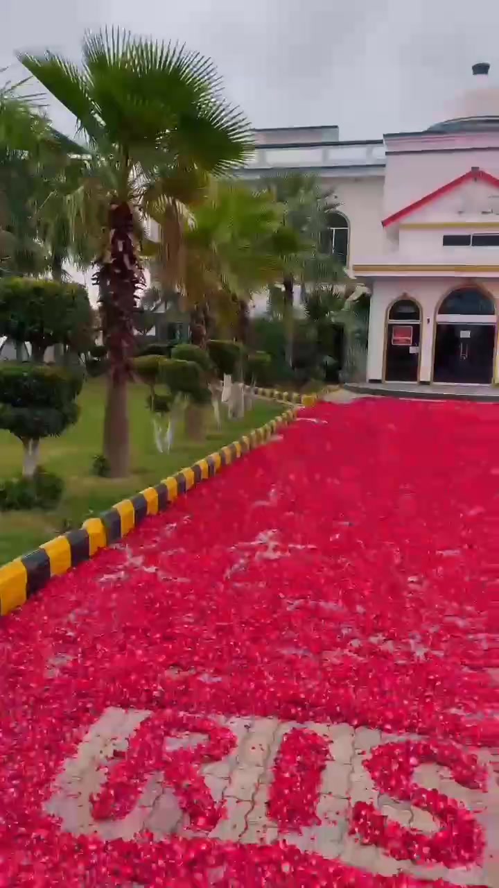 @🌷𝐒𝐇𝐀𝐍 𝐅𝐋𝐎𝐖𝐄𝐑𝐒🌷