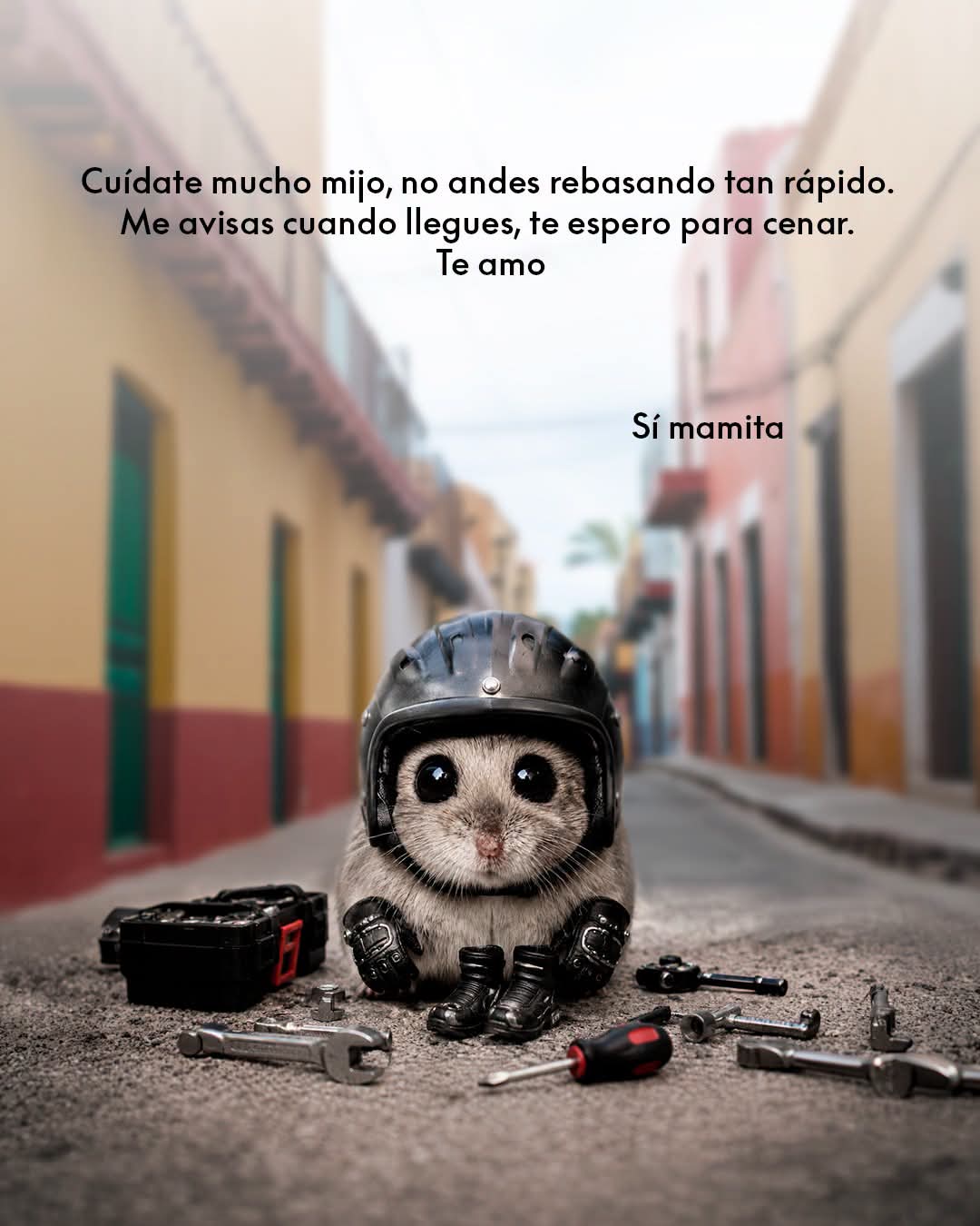 @CFMOTO M&eacute;xico