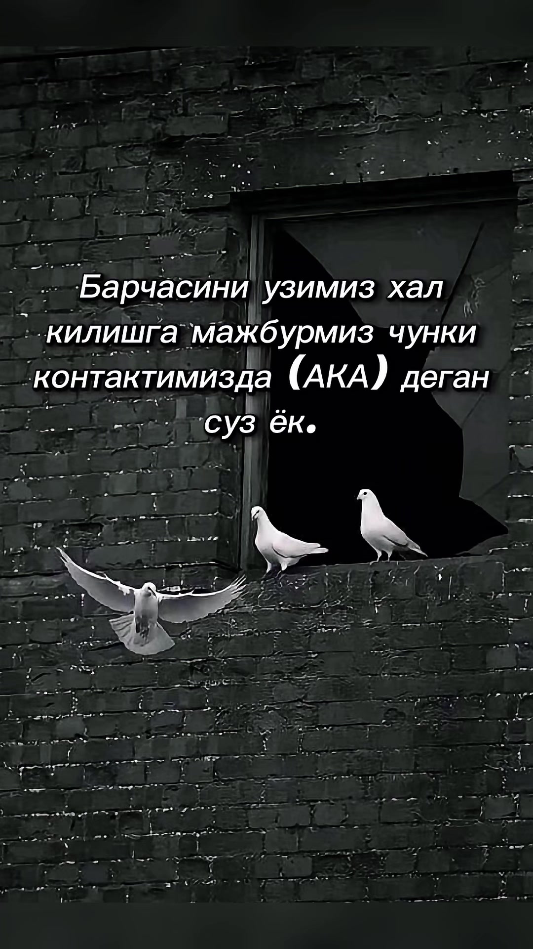 @🖤🤍GULI_QIZ 🤍 🖤🎙️🎼