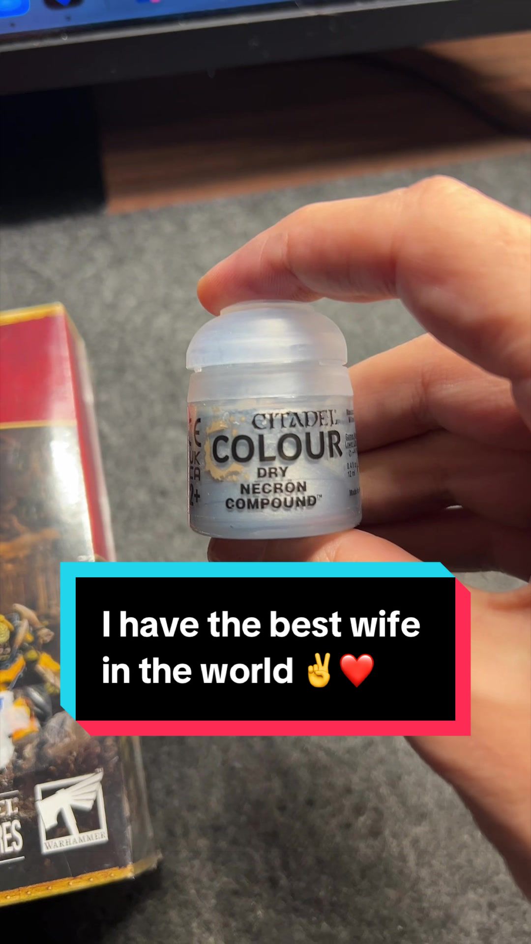 @PainterOfTheFall