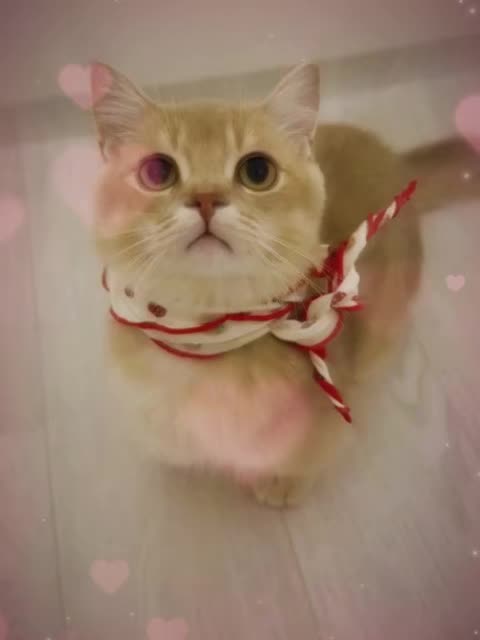 @VyyPilgrim72