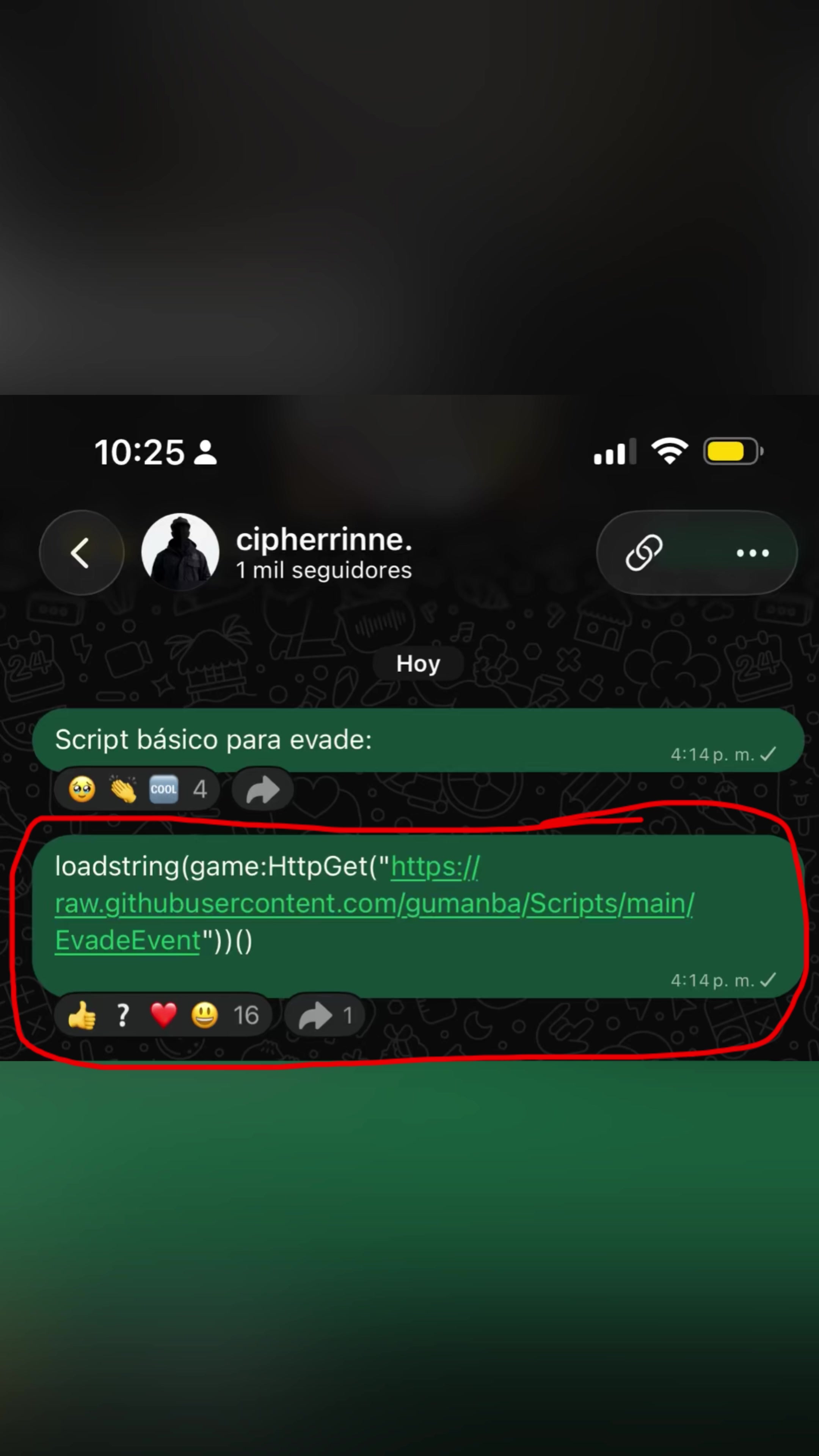 @CipherRinne