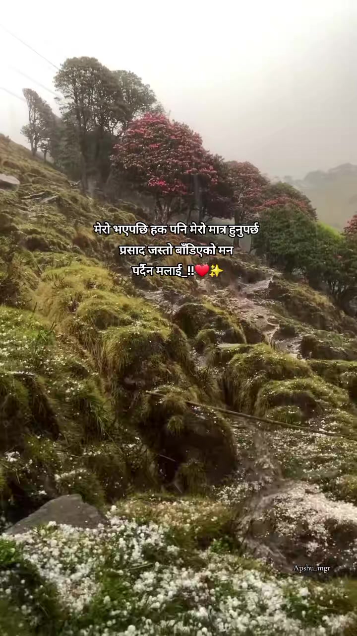 @𝓐𝓹𝓼𝓱𝓾 ❤️&zwj;🩹🦚