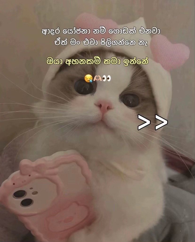 @𝐂𝐫𝐮𝐬𝐡 𝐭𝐭  𝟏𝐌🎀