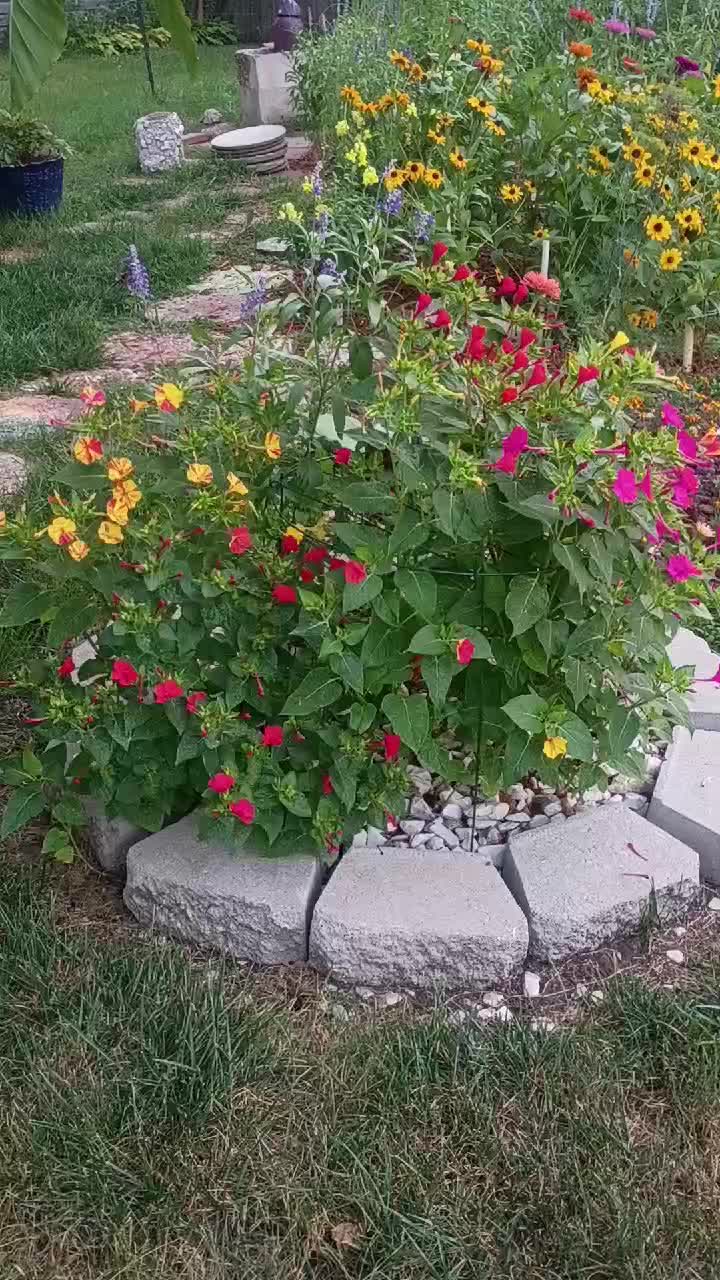 @O.G.