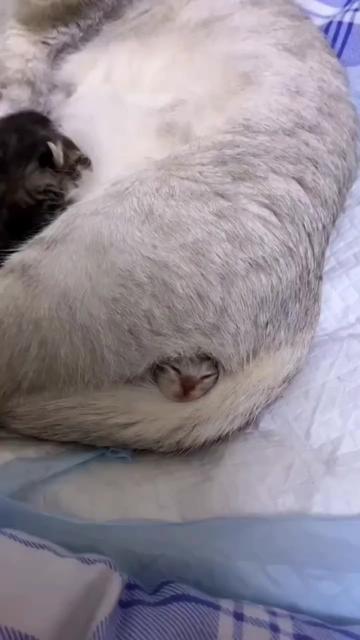 @@ไข่ตุ๋น