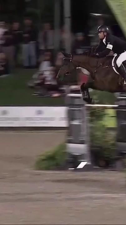 @Major League Show Jumping