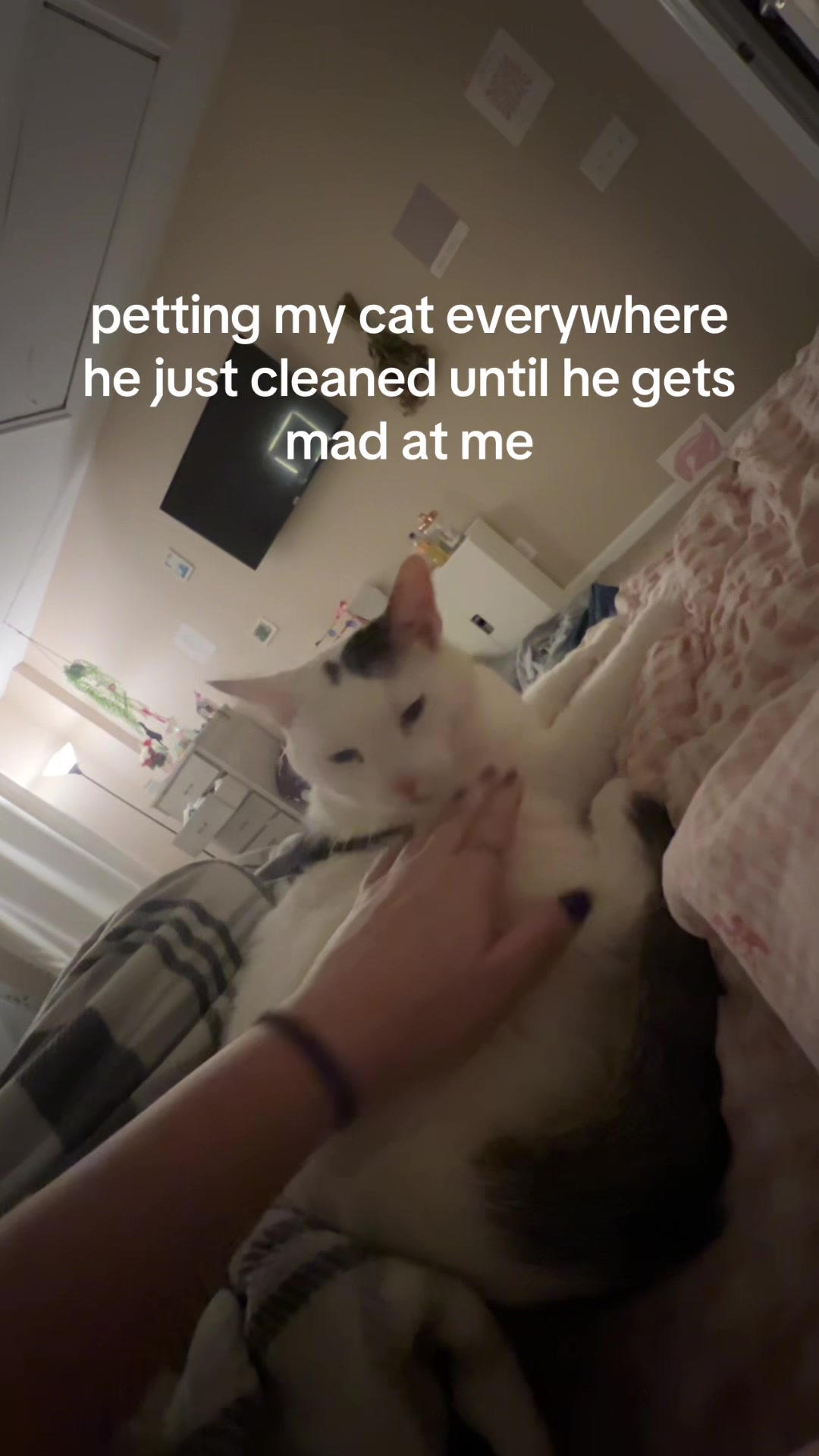 @Meow
