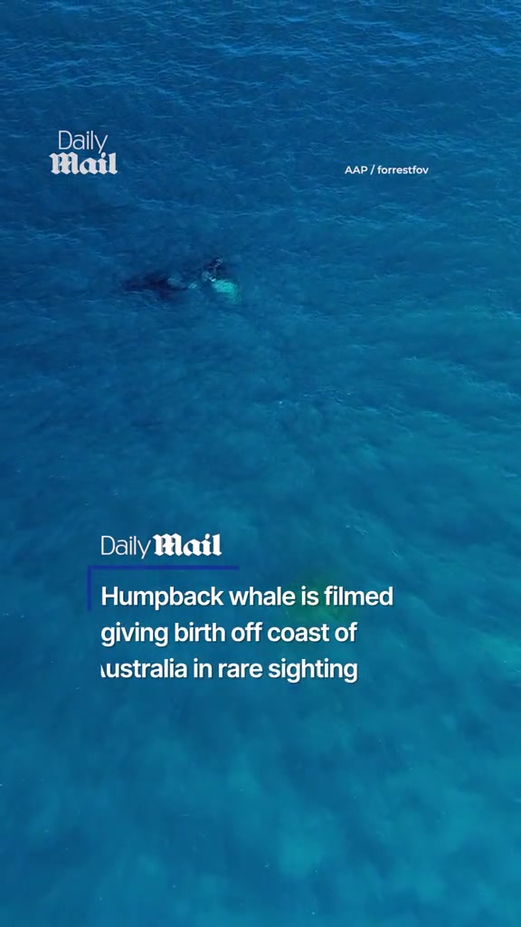 @Daily Mail Australia