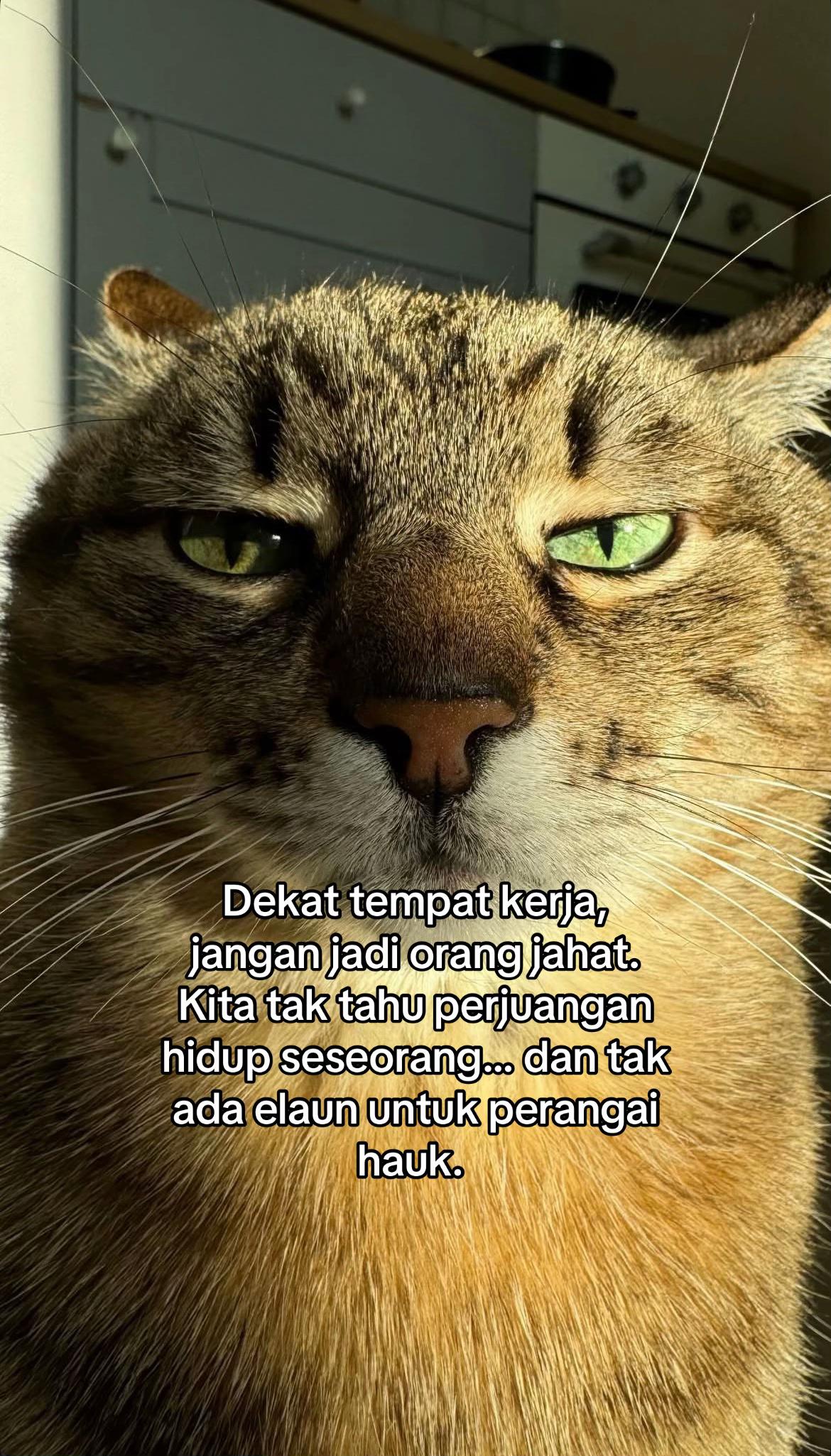 @ngeong prot prot