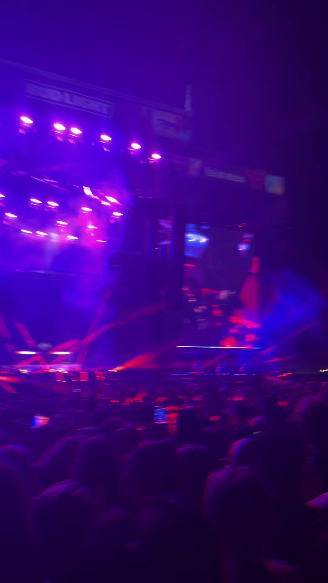 @AVA PALANDRI