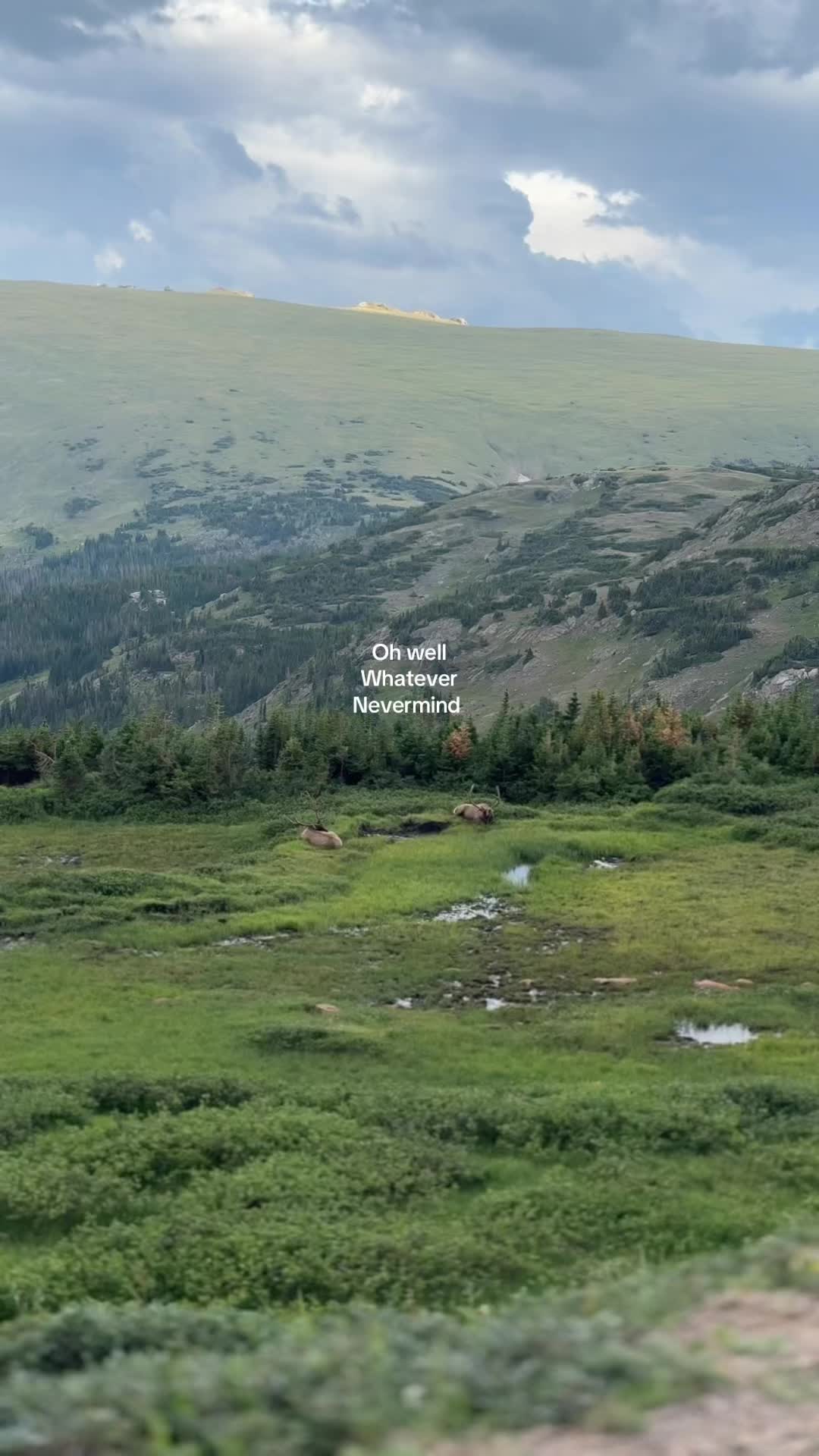 @wanderingrvlife