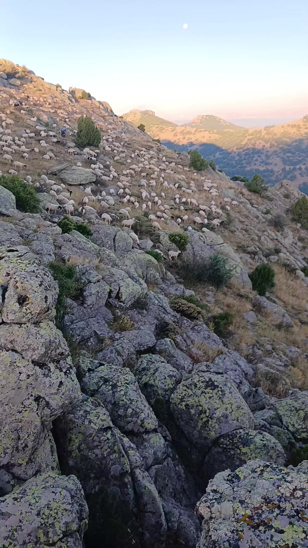 @Deli &Ccedil;oban 42