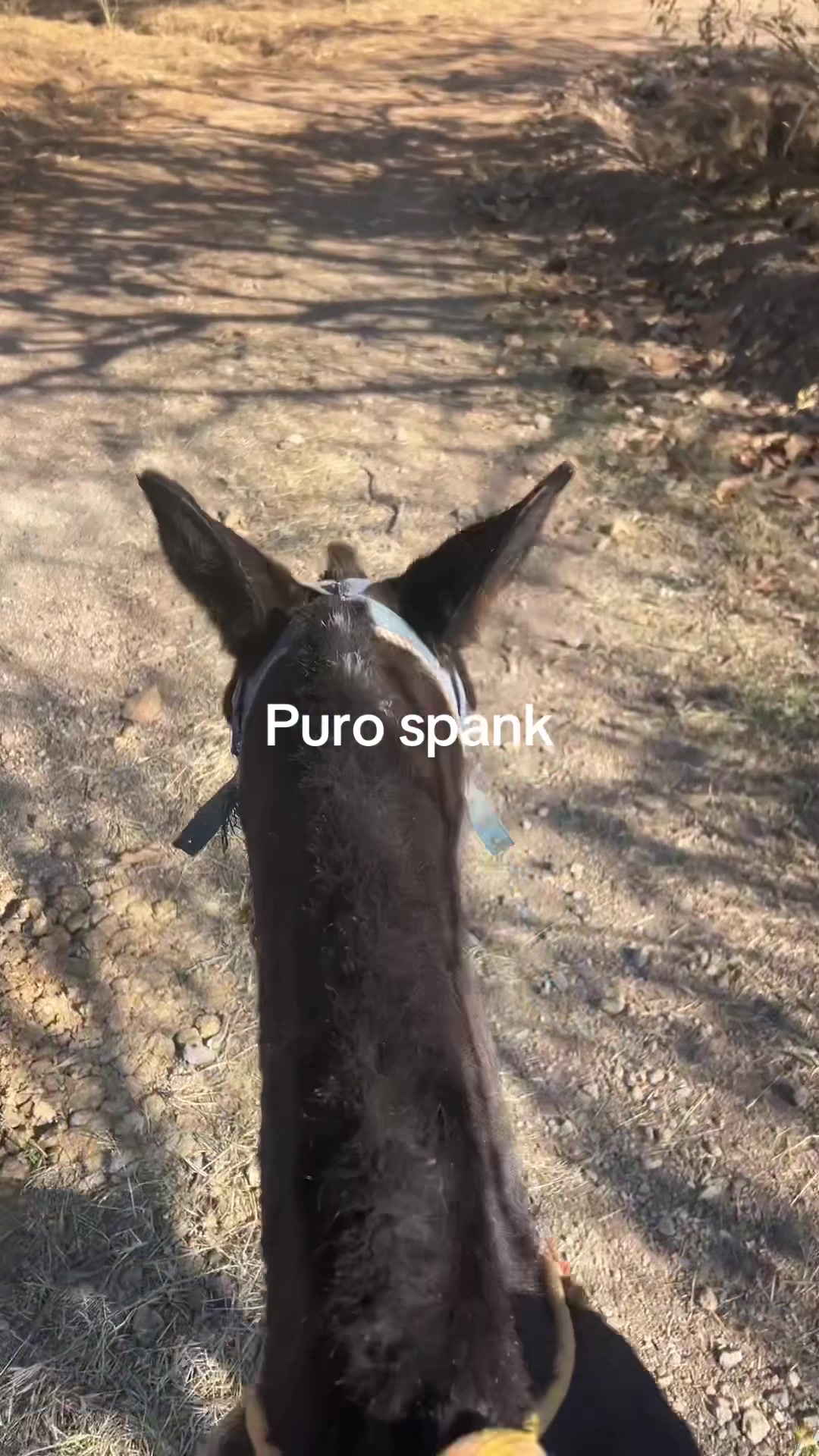 @Elias Ramirez