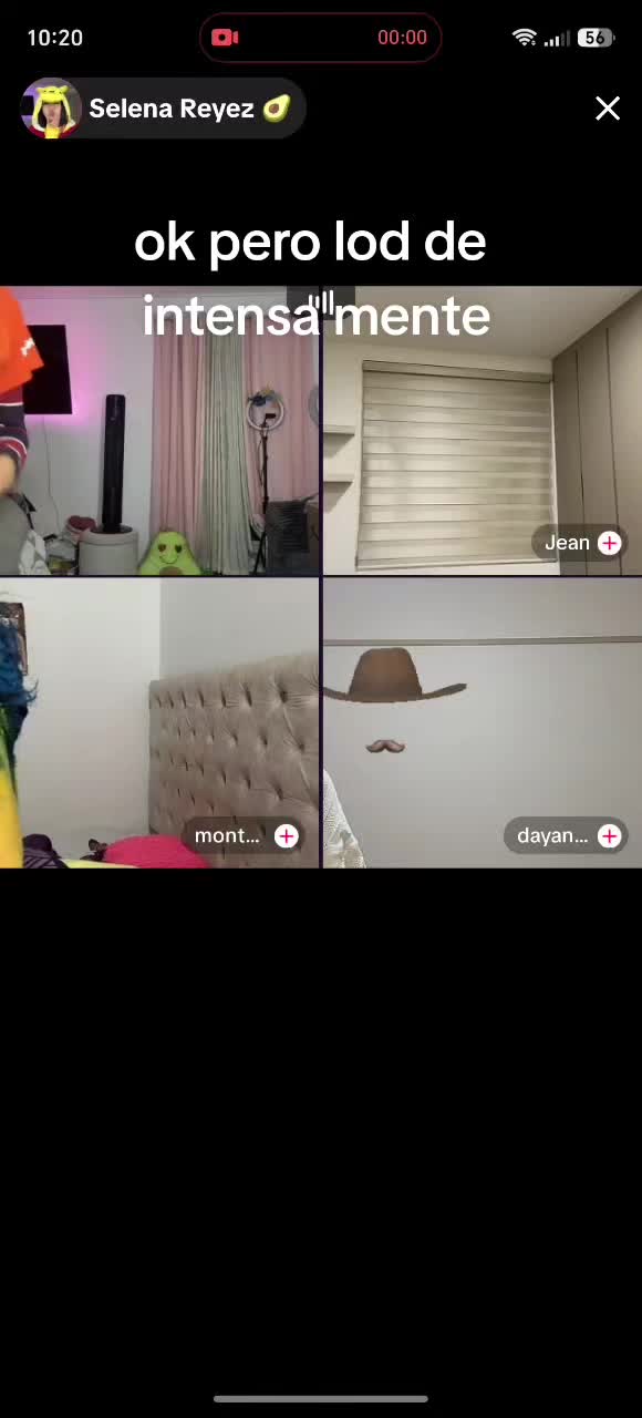 @A🌳r🌳b🌳o🌳l🌳e🌳r🌳a