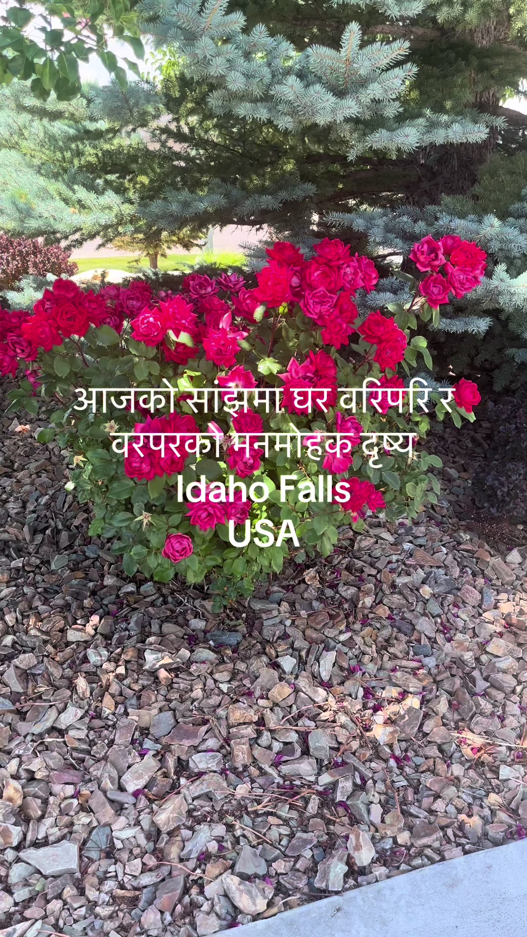 @Arjun Bhattarai