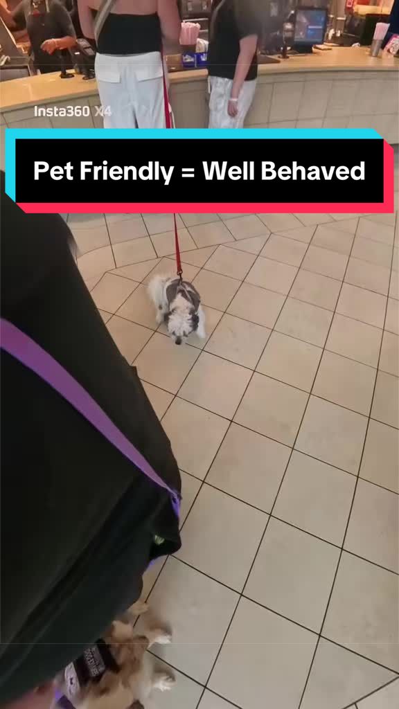 @Dakota & Pups