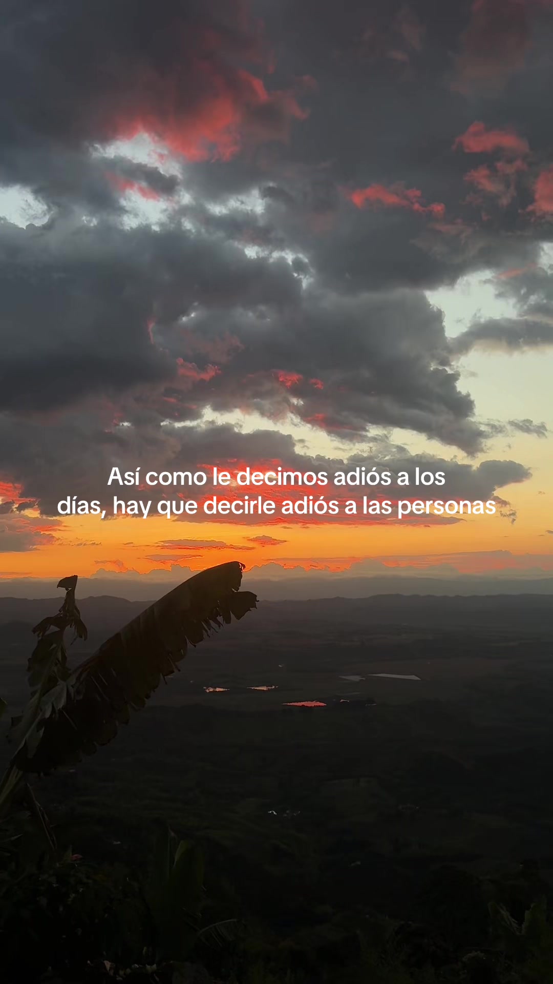 @SOF&Iacute;A CONSTA&Iacute;N
