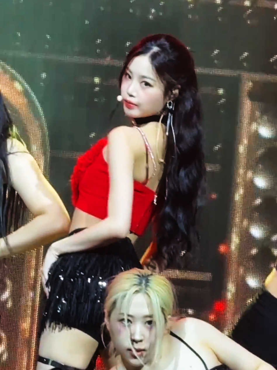@seotangmari2