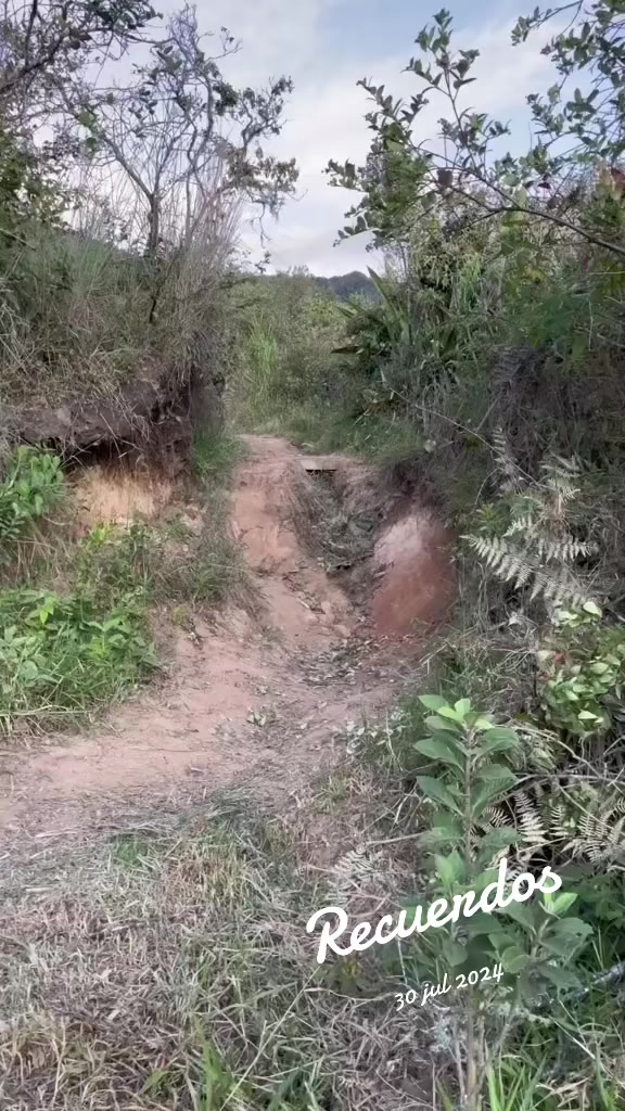 @Rueda/TRAIL