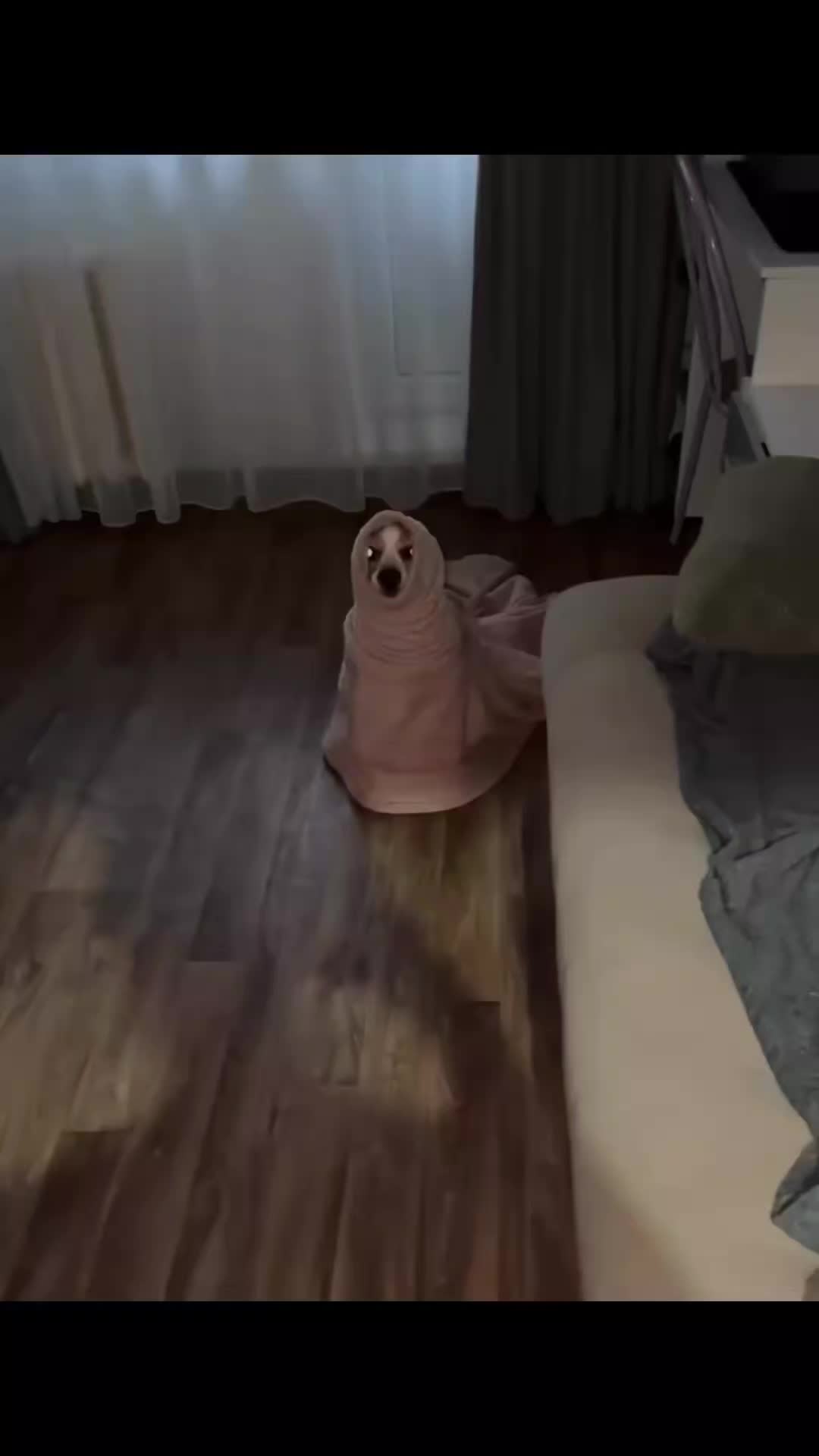 @Anonymouschienworld