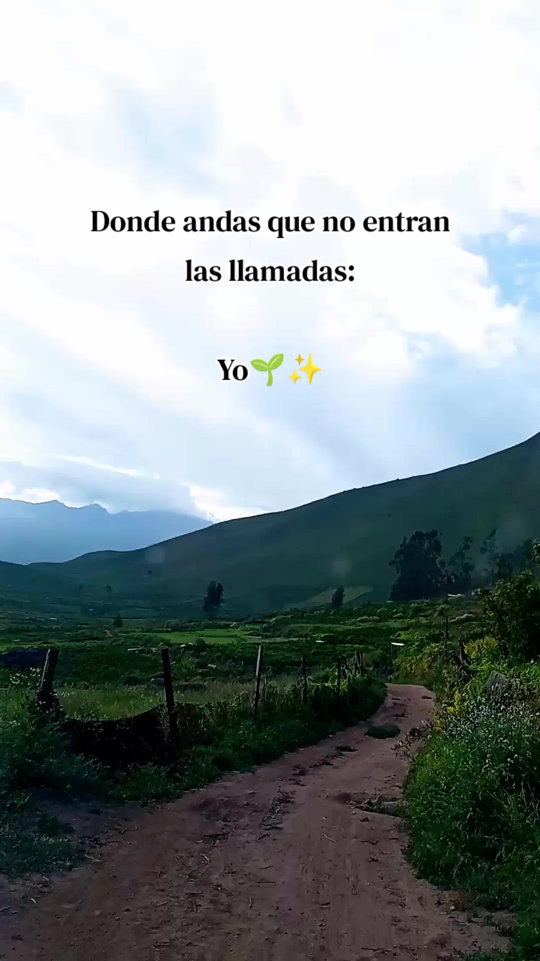 @Nani Torres
