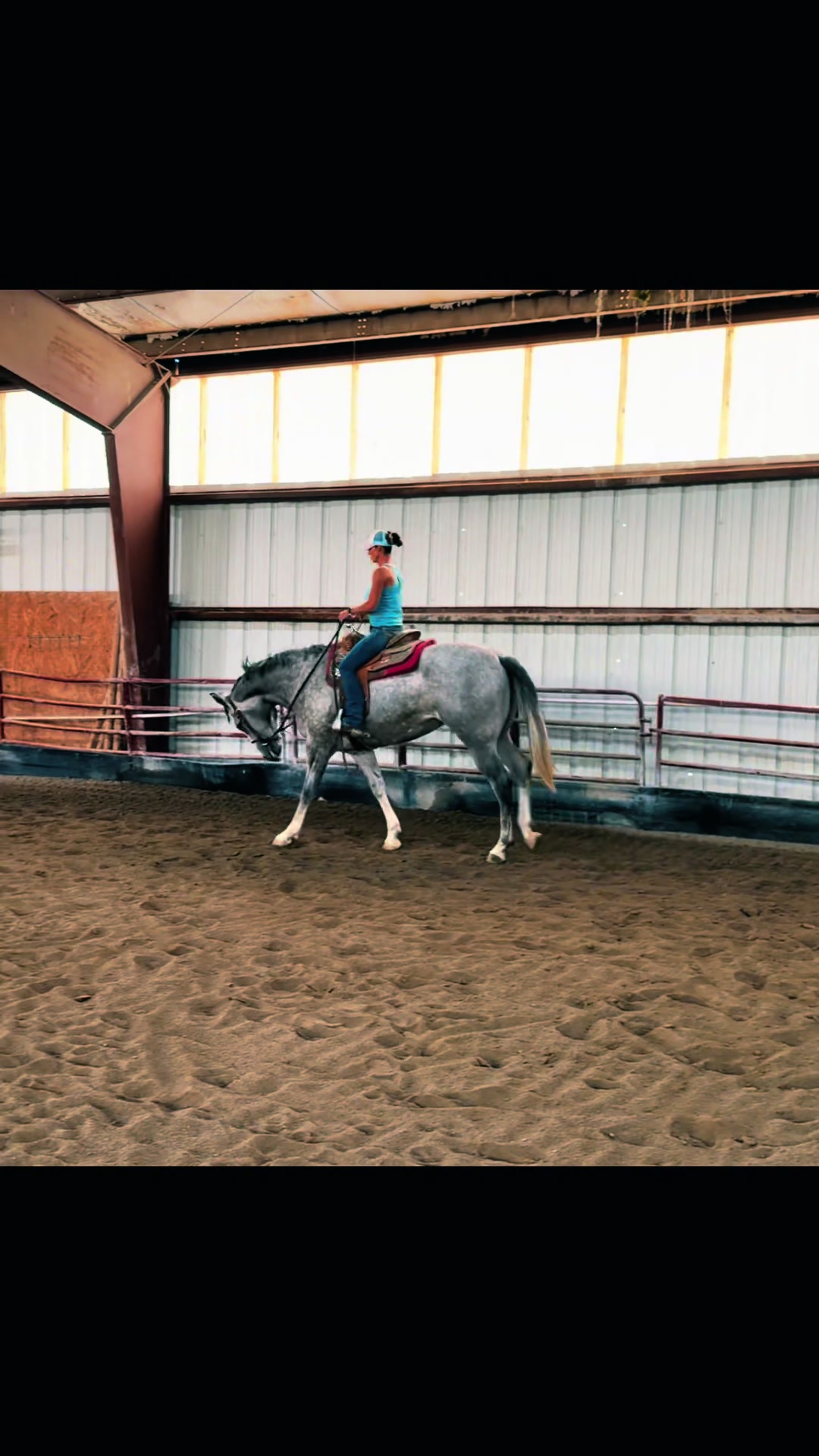 @horselife