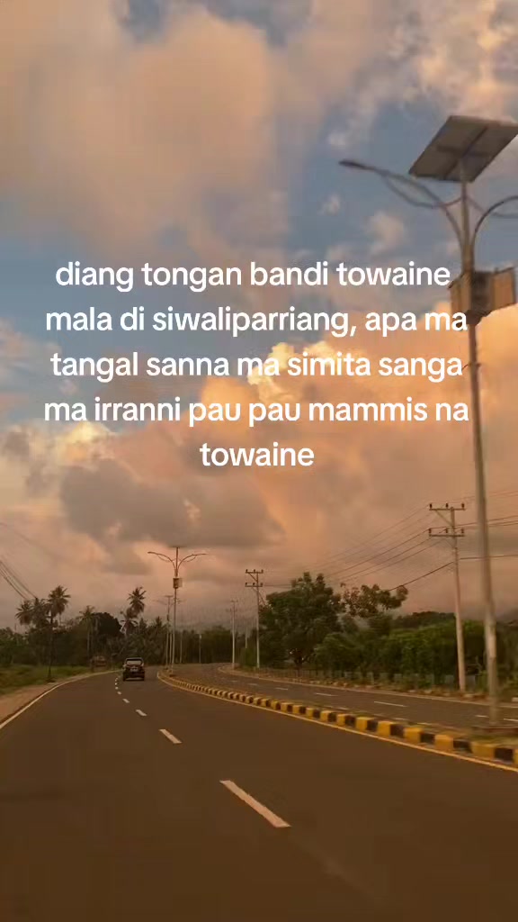 @DAN 💥