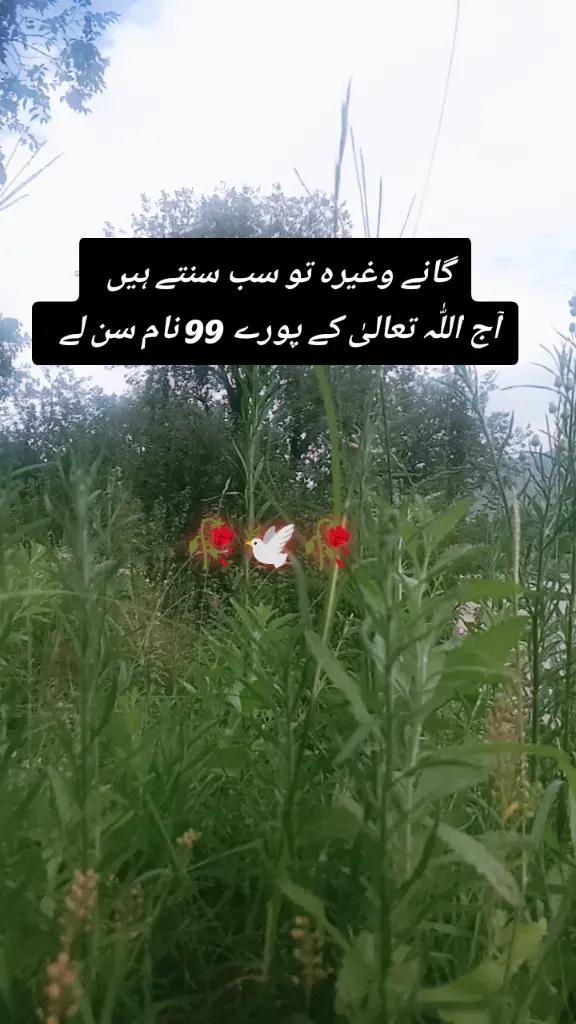 @✨Zahir_khan✨