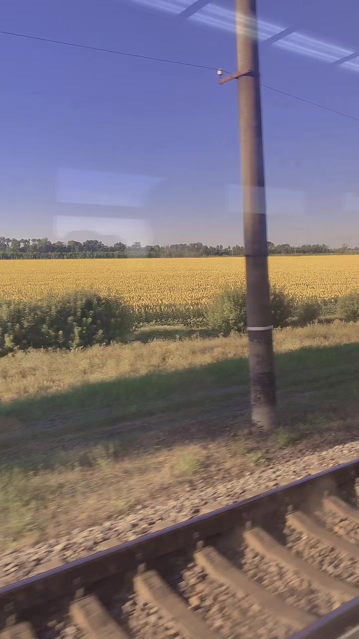 @Вікторія Верченко