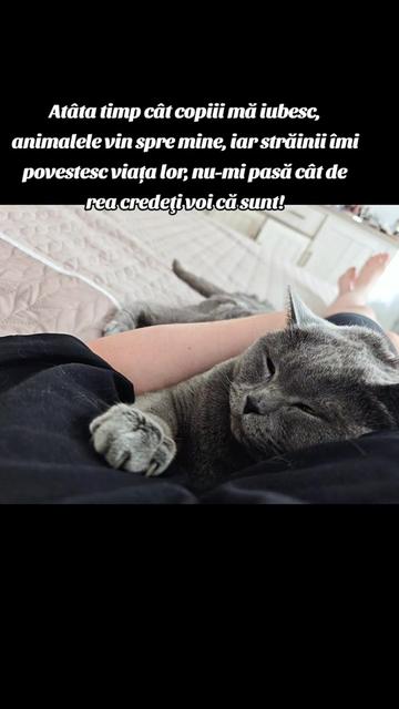 @vitalinka♐