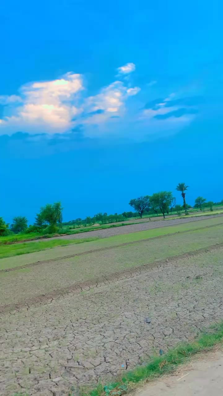 @😈استاد علی مانگوال آلہ 😈