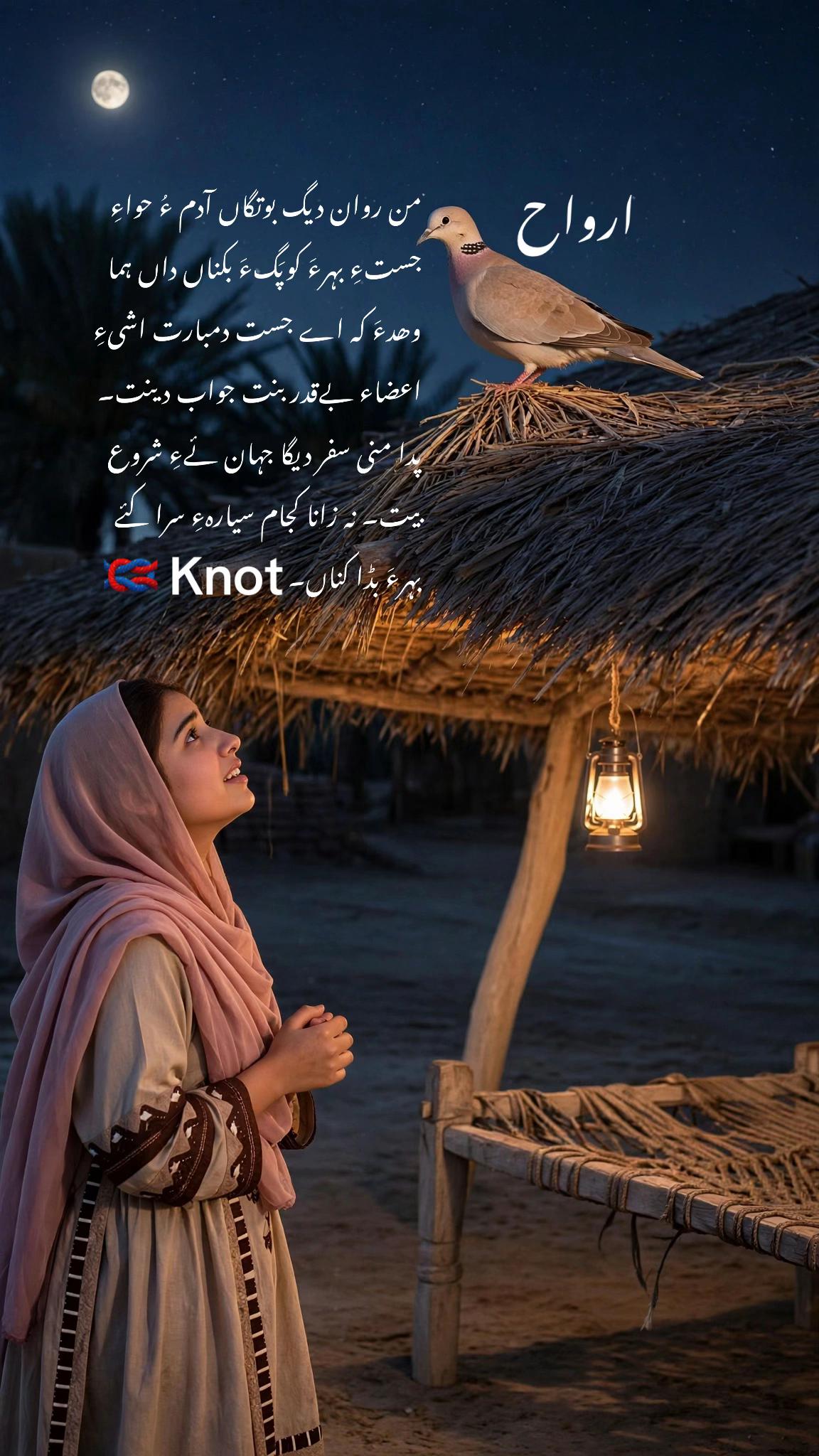 @knot.25