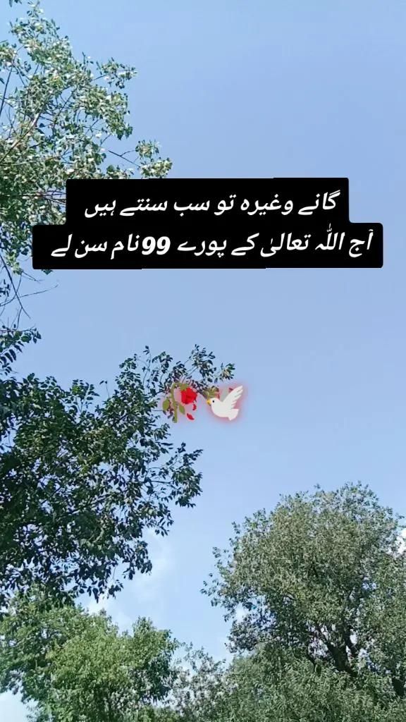 @✨Zahir_khan✨