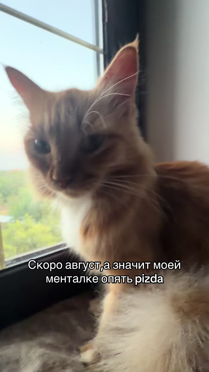 @плов