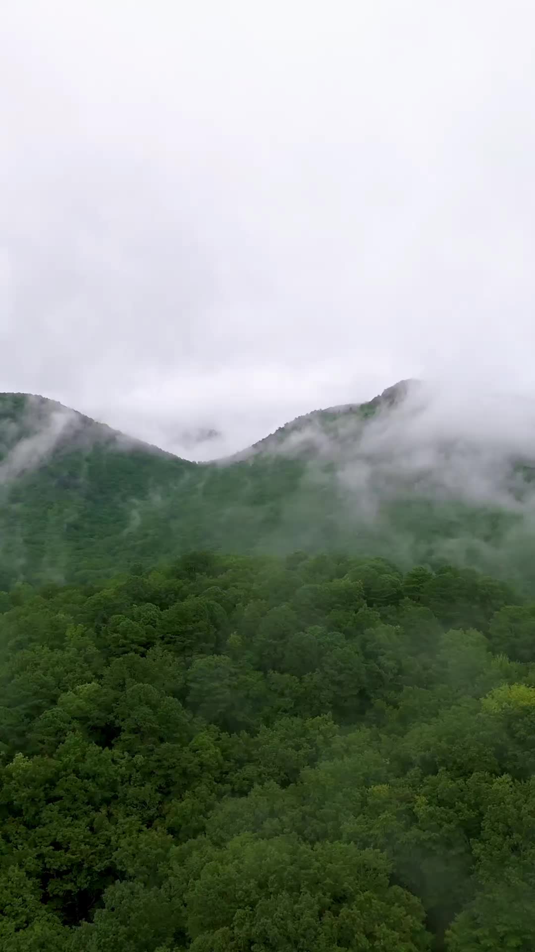 @Wander North Georgia