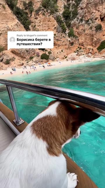 @🌺Ольга Лучникова🌺
