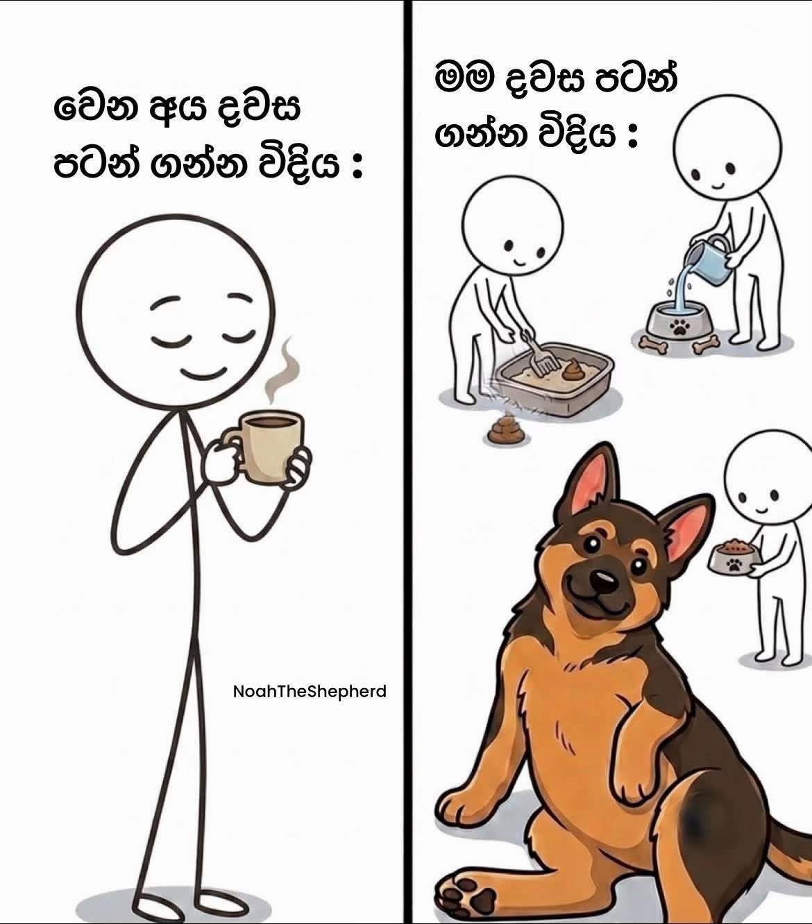 @DOG LOVERS