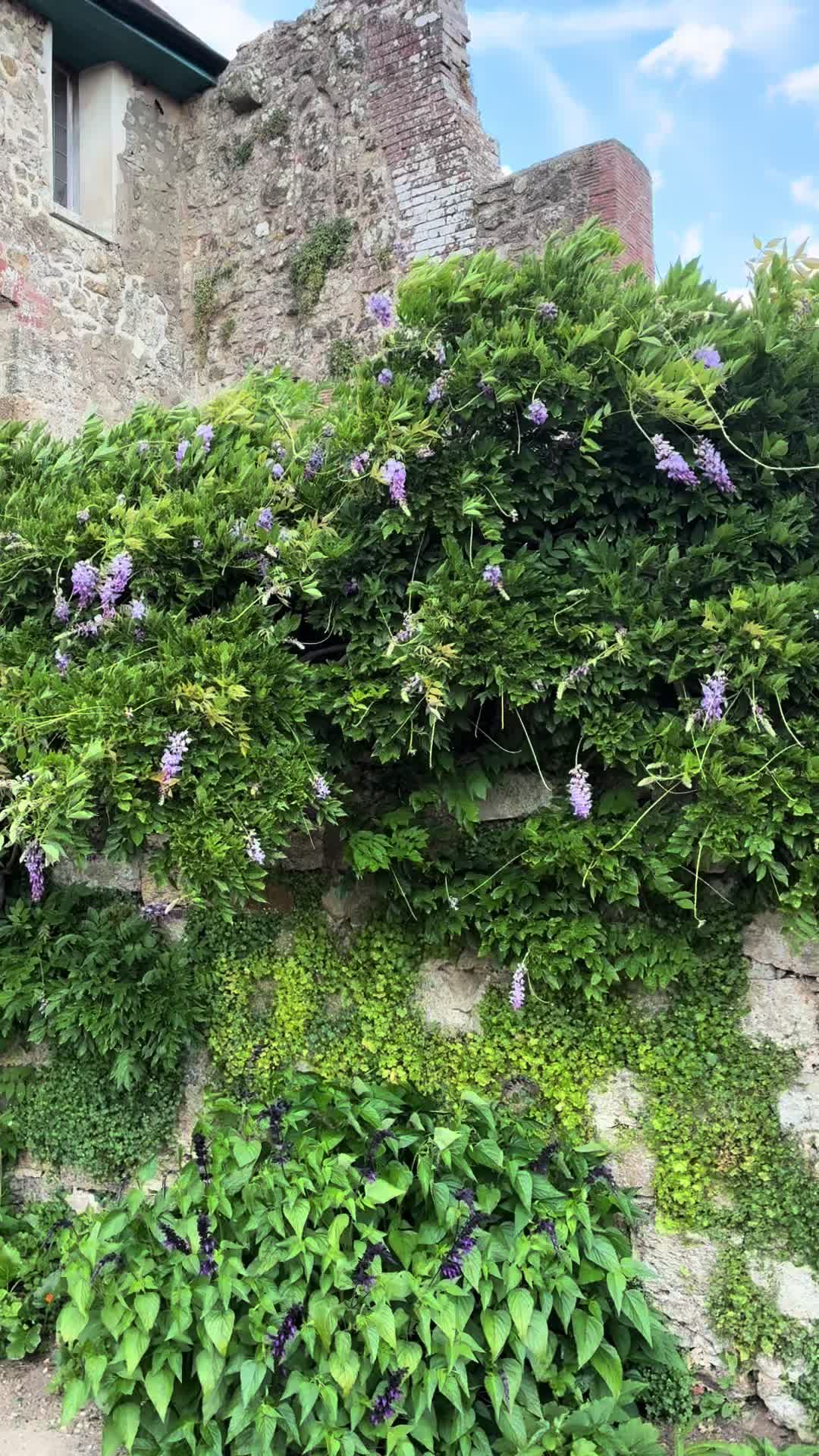 @All The Small Plants