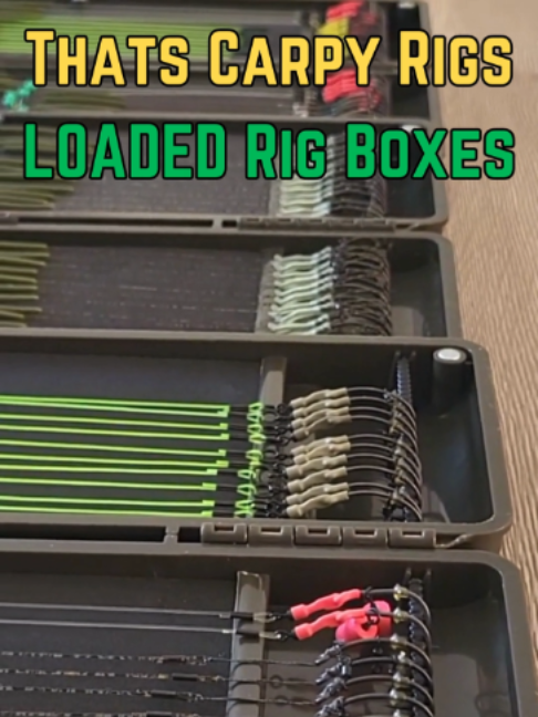 @Thats Carpy Rigs