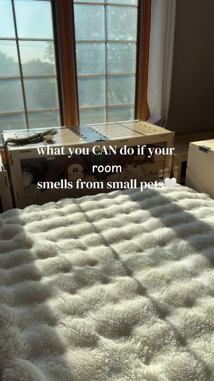 @alexa🤍🐾