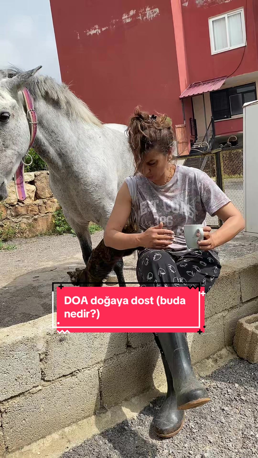@Dani