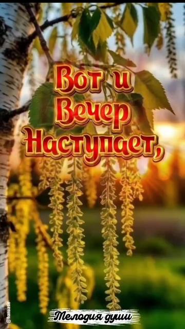 @Александр