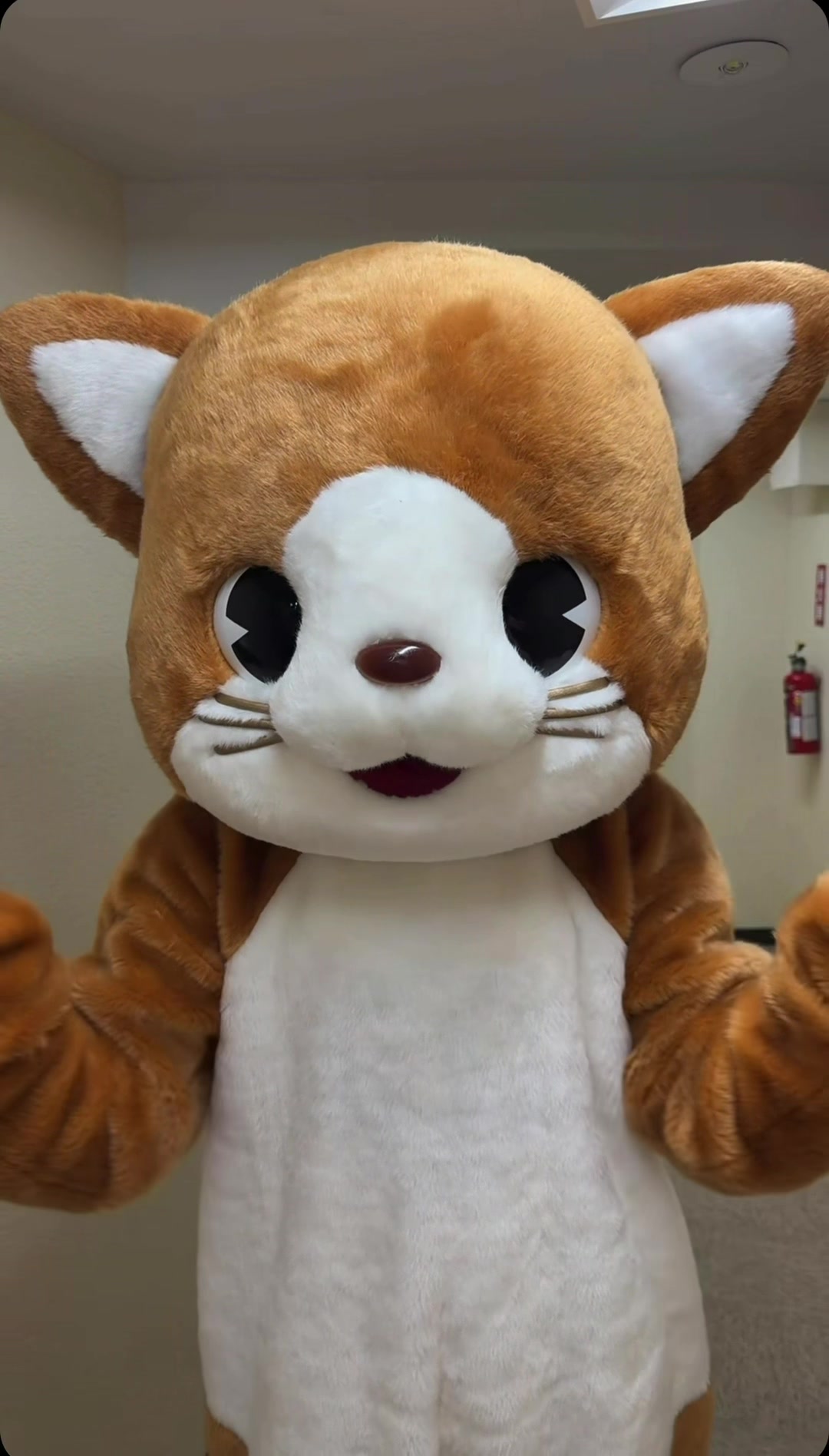@いーぷぴ